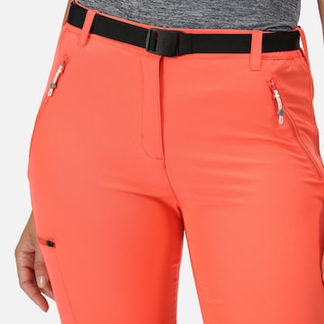 REGATTA Regular Outdoor Pants 'Xert' in Orange