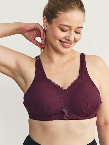 Bustier Soutien-gorge C&City en violet