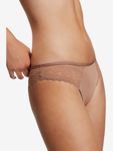 Slip di ESPRIT in beige