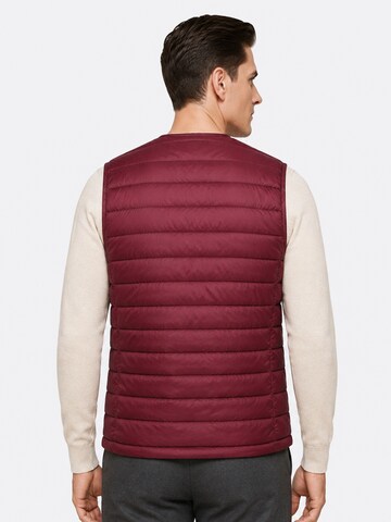ALLTHEMEN Vest 'Stichlinie' in Red