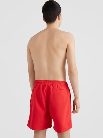 Pantaloncini da bagno di O'NEILL in rosso