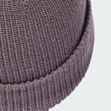 ADIDAS ORIGINALS Beanie 'Adicolor' in Grey