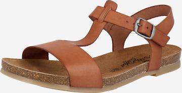 COSMOS COMFORT Sandals in Brown: front