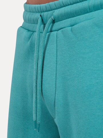 Regular Pantalon Smilodox en bleu
