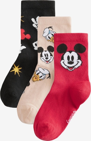 Next Sukat värissä beige: etupuoli