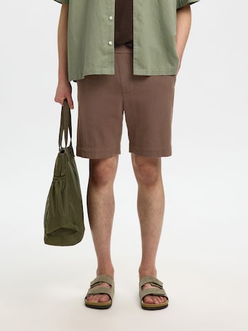 SELECTED Pants 'SLHCal' in Brown: front