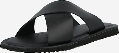 Šlepetės 'U ERICE' iš GEOX, spalva – juoda, Prekių apžvalga