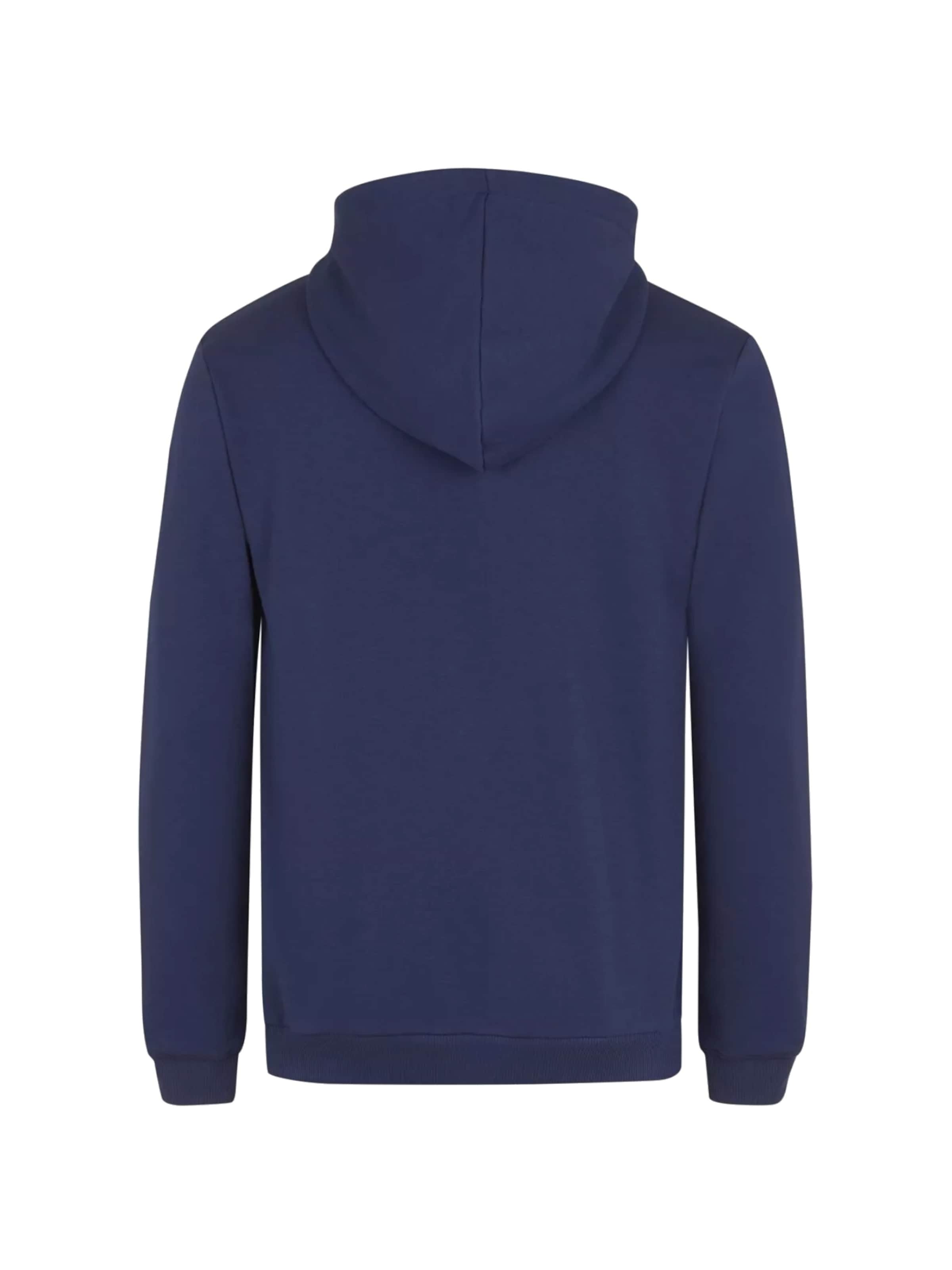FILA Sweatshirt 'Fila Beltinci Hoody' in Blue