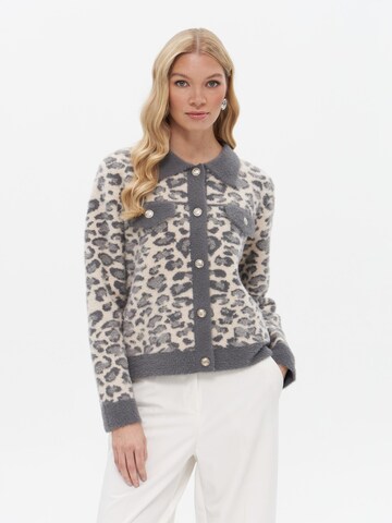 Passioni Knit Cardigan in Grey: front