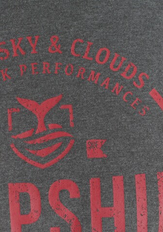 DELMAO T-Shirt in Grau