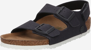 BIRKENSTOCK Open shoes 'Milano' in Blue: front