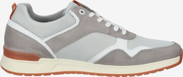 SALAMANDER Sneakers in Grey