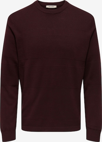 Only & Sons Pullover 'ONSMalik' i rød: forside