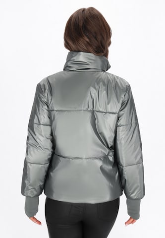 faina Winter jacket in Grey