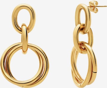 Boucles d'oreilles Lucardi en or : devant
