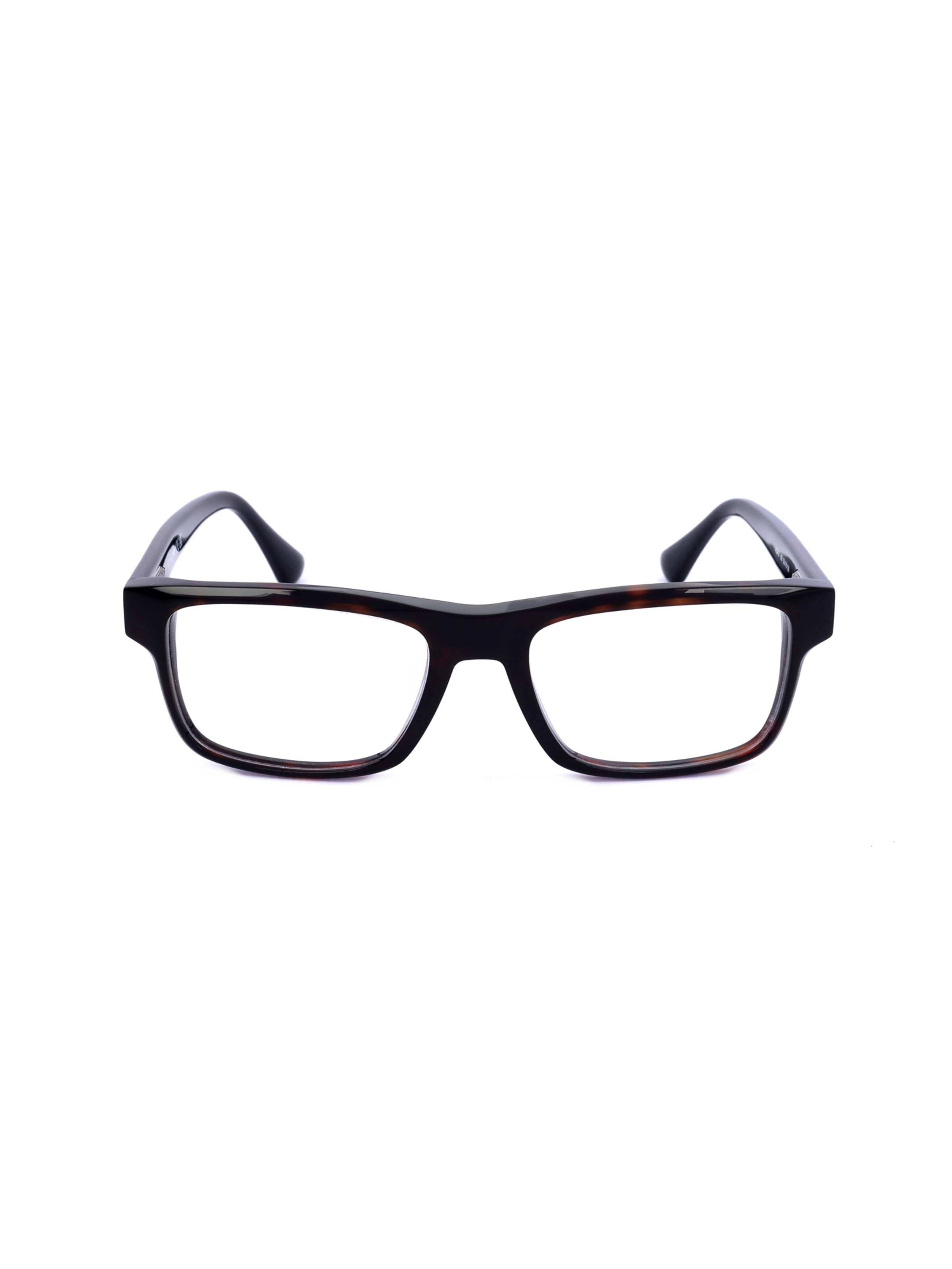 Occhiali 'WE5432' di Web Eyewear in marrone: frontale