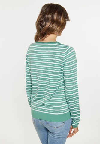 Pull-over usha BLUE LABEL en vert