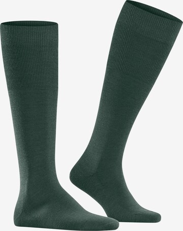 FALKE Knee High Socks 'Airport' in Green: front
