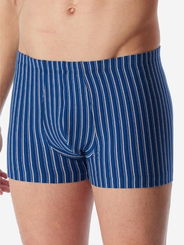 SCHIESSER Boxershorts '95/5 Essentials - Cotton' in Blauw