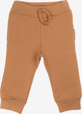 Bamar Nicol Regular Pants in Brown: front