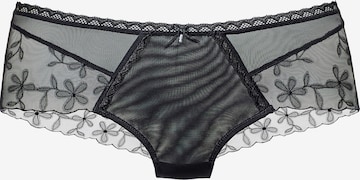 Culotte LASCANA en noir : devant