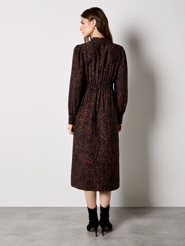 Robe ' ' Apricot en marron