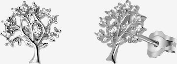 Boucles d'oreilles Lucardi en argent : devant