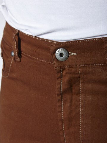 BABISTA Regular Trousers ' Elibesso ' in Brown