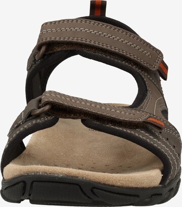 Sandales de randonnée 'Mito' GEOX en marron