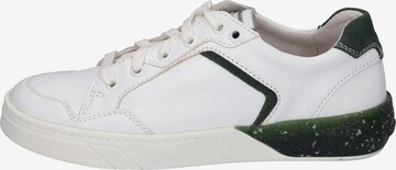JOSEF SEIBEL Sneakers 'WILMA 02' in White: front