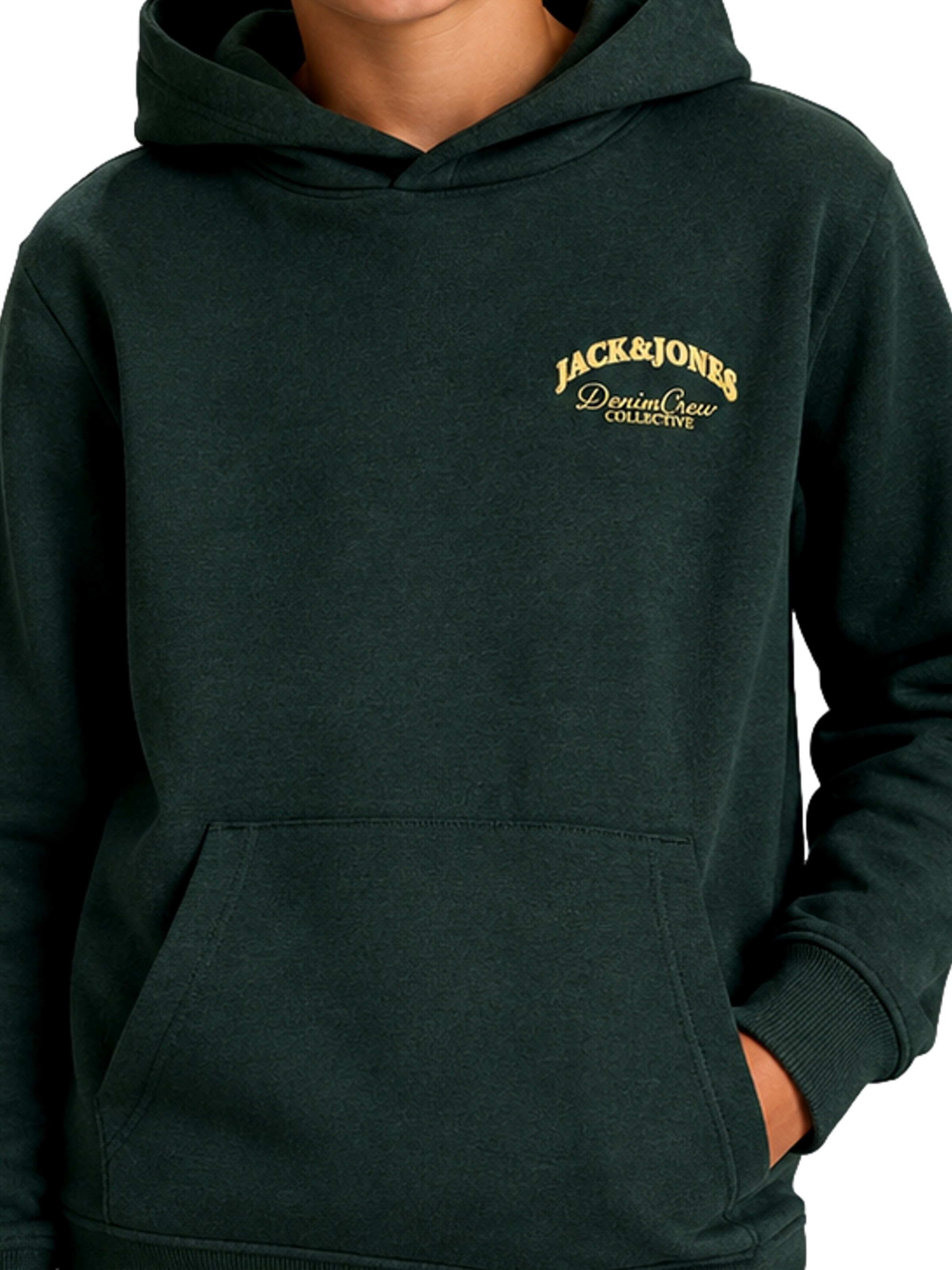 Jack & Jones Junior Свитшот 'JJEBrandes' в Зеленый