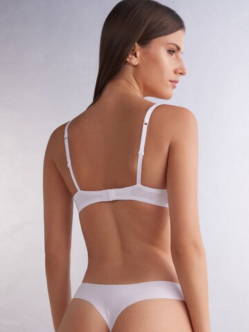 INTIMISSIMI Push-up Bra 'Monica ' in White