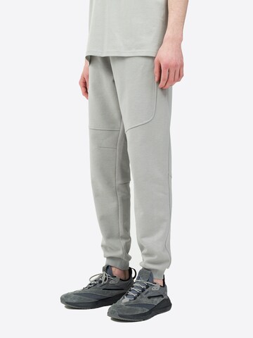 Regular Pantalon 4F en gris