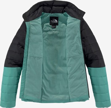 THE NORTH FACE Athletic Jacket in Blue