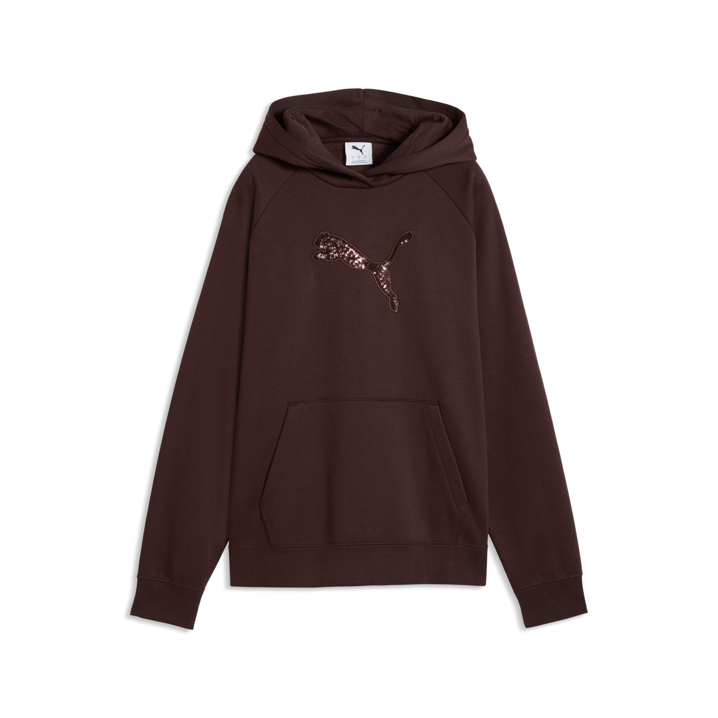 PUMA Sweatshirt in Brown: front