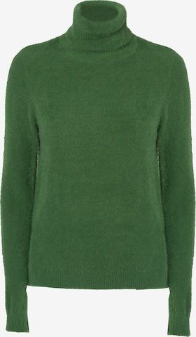 Influencer Свитер в Зеленый: спереди