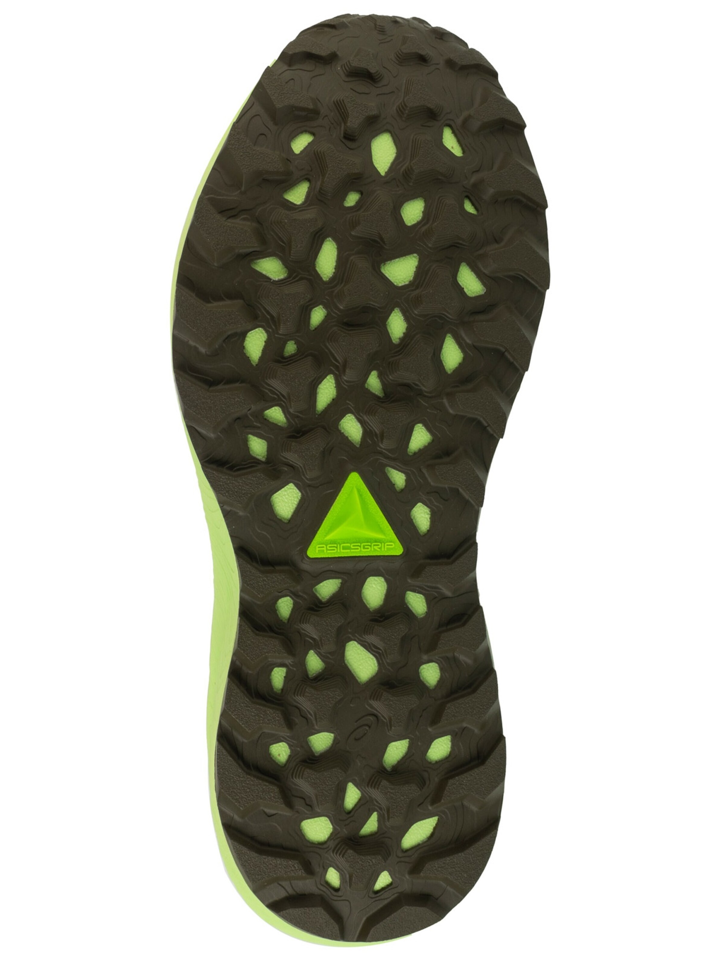 ASICS Laufschuh 'ASICS Gel-Trabuco Terra 3'‌ in Grün