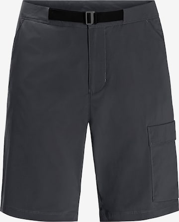 JACK WOLFSKIN Regular Outdoor Pants in Grey: front