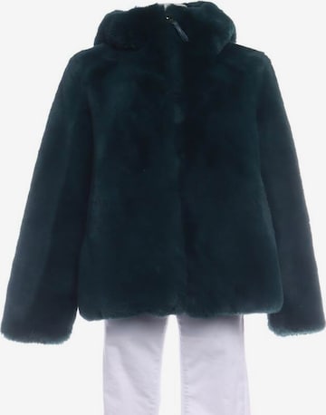 Dondup Jacket & Coat in S in Green: front