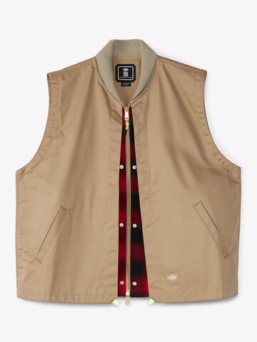 Gilet di DICKIES in beige: frontale
