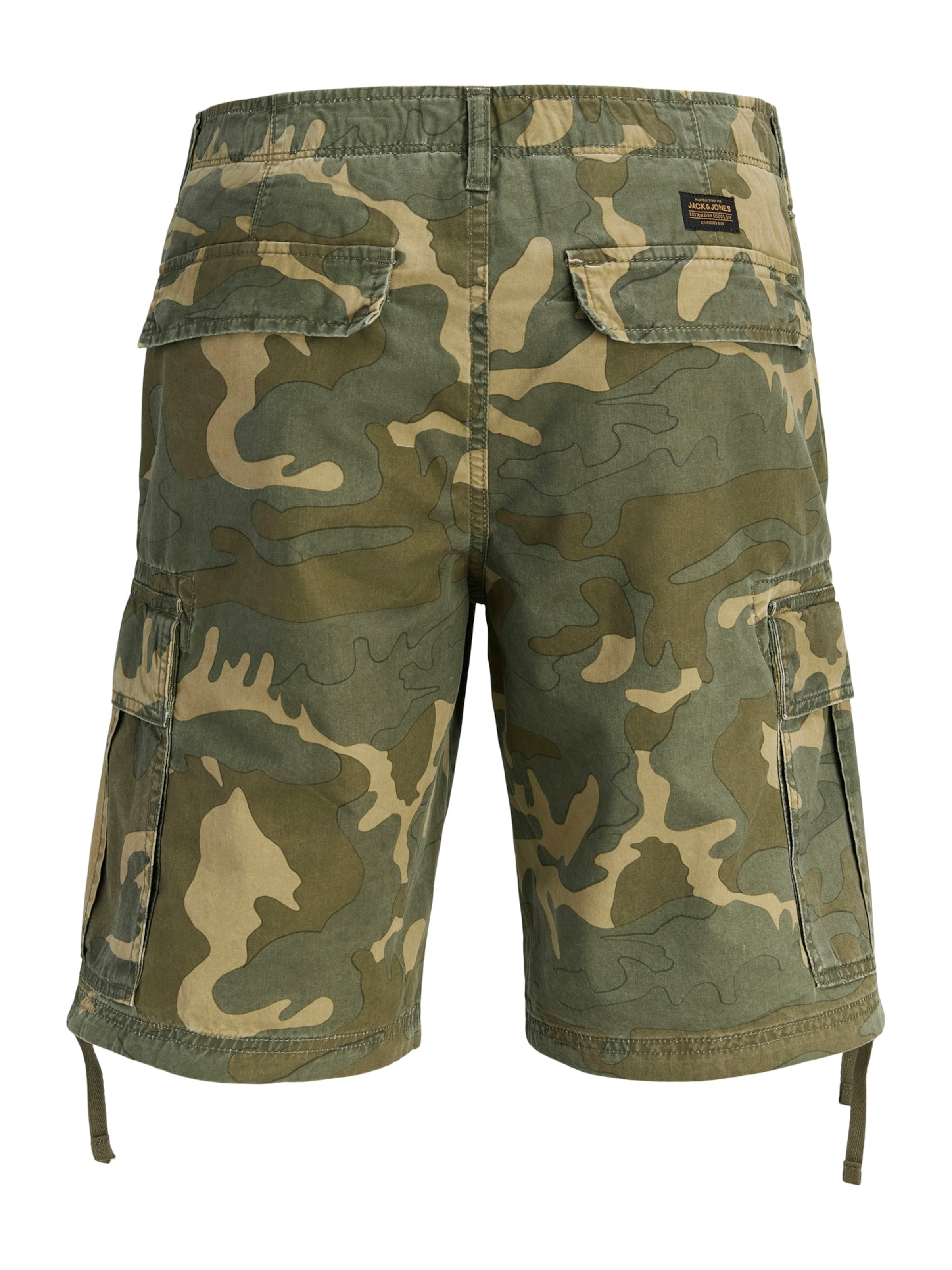 JACK & JONES Regular Cargo Pants 'JPSTCOLE FRANK' in Green