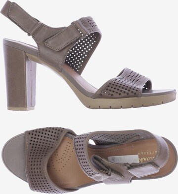 CLARKS Sandals & High-Heeled Sandals in 39 in Brown: front
