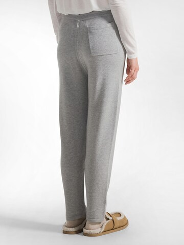 Slimfit Pantaloni di DEHA in grigio
