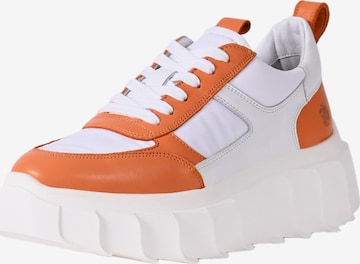 Apple of Eden Sneakers laag 'BLAIR' in Wit: voorkant