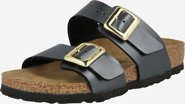 BIRKENSTOCK Pistokkaat 'Sydney' värissä musta: etupuoli
