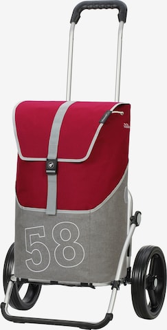 Trolley 'Filip' di Andersen Shopper in rosso: frontale