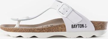 balta Bayton Šlepetės per pirštą 'Mercure': priekis