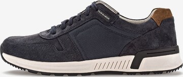 Pius Gabor Sneakers laag in Blauw