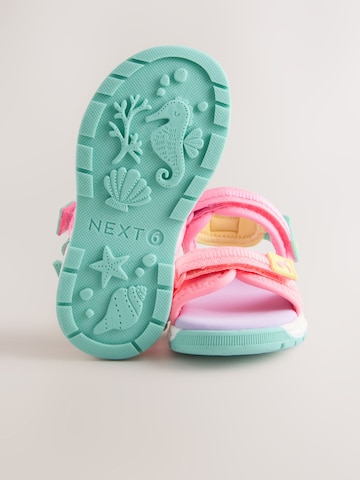 Next Sandali | roza barva