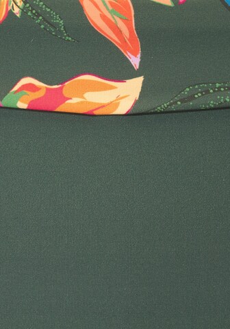 LASCANA Bikini Bottoms in Green